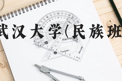 武汉大学(民族班)近三年在广西录取分数线(含2021-2023最低分)