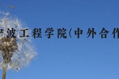 宁波工程学院(中外合作)近三年在广西录取分数线(含2021-2023最低分)