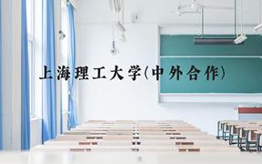 上海理工大学(中外合作)近三年在广西录取分数线(含2021-2023最低分)