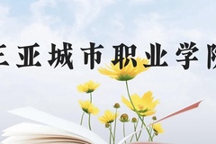 三亚城市职业学院近三年在云南录取分数线(含2021-2023最低分)