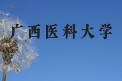 广西医科大学近三年在广西录取分数线(含2021-2023最低分)