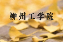 柳州工学院近三年在贵州录取分数线(含2021-2023最低分)