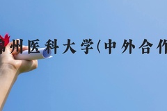 锦州医科大学(中外合作)近三年在贵州录取分数线(含2021-2023最低分)