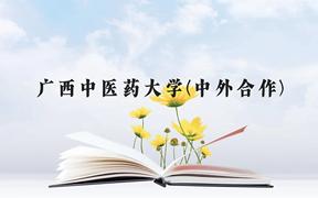 广西中医药大学(中外合作)近三年在广西录取分数线(含2021-2023最低分)