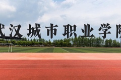武汉城市职业学院近三年在云南录取分数线(含2021-2023最低分)