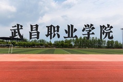 武昌职业学院近三年在云南录取分数线(含2021-2023最低分)