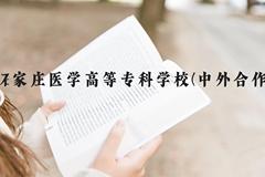 石家庄医学高等专科学校(中外合作)近三年在云南录取分数线(含2021-2023最低分)