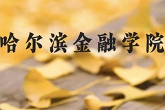 哈尔滨金融学院近三年在贵州录取分数线(含2021-2023最低分)