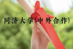 同济大学(中外合作)近三年在广西录取分数线(含2021-2023最低分)
