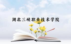 湖北三峡职业技术学院近三年在广西录取分数线(含2021-2023最低分)