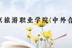 南京旅游职业学院(中外合作)近三年在云南录取分数线(含2021-2023最低分)