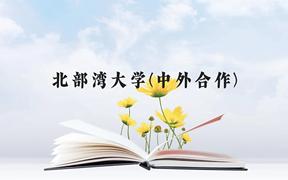 北部湾大学(中外合作)近三年在广西录取分数线(含2021-2023最低分)