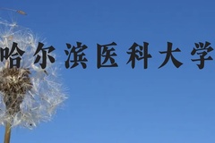 哈尔滨医科大学近三年在贵州录取分数线(含2021-2023最低分)