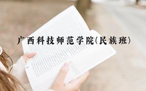 广西科技师范学院(民族班)近三年在广西录取分数线(含2021-2023最低分)