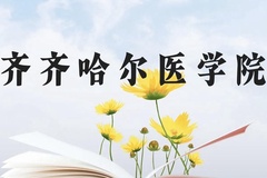 齐齐哈尔医学院近三年在广西录取分数线(含2021-2023最低分)