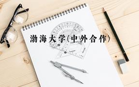 渤海大学(中外合作)近三年在广西录取分数线(含2021-2023最低分)