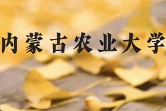 内蒙古农业大学近三年在广西录取分数线(含2021-2023最低分)