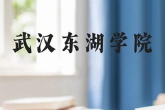 武汉东湖学院近三年在贵州录取分数线(含2021-2023最低分)