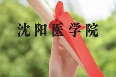 沈阳医学院近三年在广西录取分数线(含2021-2023最低分)