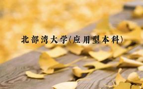 北部湾大学(应用型本科)近三年在广西录取分数线(含2021-2023最低分)