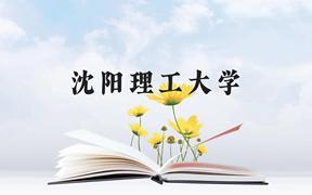 沈阳理工大学近三年在广西录取分数线(含2021-2023最低分)