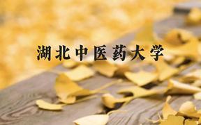 湖北中医药大学近三年在广西录取分数线(含2021-2023最低分)