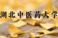 湖北中医药大学近三年在广西录取分数线(含2021-2023最低分)