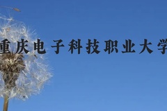 重庆电子科技职业大学近三年在云南录取分数线(含2021-2023最低分)