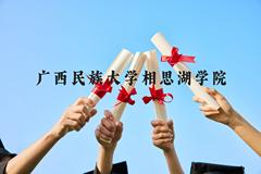 广西民族大学相思湖学院近三年在贵州录取分数线(含2021-2023最低分)