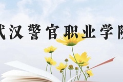 武汉警官职业学院近三年在广西录取分数线(含2021-2023最低分)