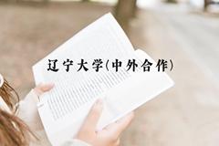 辽宁大学(中外合作)近三年在云南录取分数线(含2021-2023最低分)