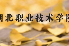 湖北职业技术学院近三年在贵州录取分数线(含2021-2023最低分)
