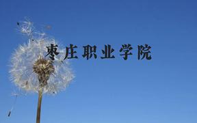 枣庄职业学院近三年在广西录取分数线(含2021-2023最低分)