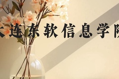 大连东软信息学院近三年在广西录取分数线(含2021-2023最低分)
