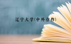 辽宁大学(中外合作)近三年在广西录取分数线(含2021-2023最低分)