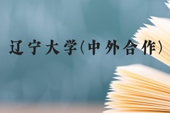 辽宁大学(中外合作)近三年在广西录取分数线(含2021-2023最低分)