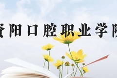 资阳口腔职业学院近三年在云南录取分数线(含2021-2023最低分)
