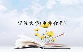 宁波大学(中外合作)近三年在广西录取分数线(含2021-2023最低分)