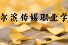 哈尔滨传媒职业学院近三年在云南录取分数线(含2021-2023最低分)