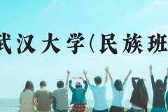 武汉大学(民族班)近三年在云南录取分数线(含2021-2023最低分)