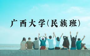 广西大学(民族班)近三年在广西录取分数线(含2021-2023最低分)