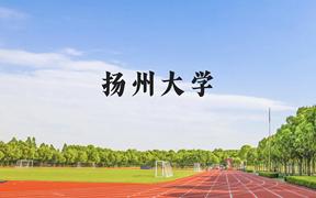 扬州大学近三年在广西录取分数线(含2021-2023最低分)