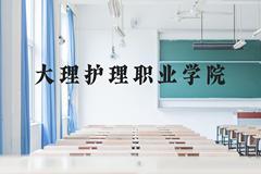 大理护理职业学院近三年在云南录取分数线(含2021-2023最低分)