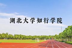 湖北大学知行学院近三年在云南录取分数线(含2021-2023最低分)