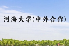 河海大学(中外合作)近三年在云南录取分数线(含2021-2023最低分)