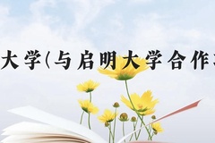 长春大学(与启明大学合作项目)近三年在云南录取分数线(含2021-2023最低分)