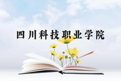 四川科技职业学院近三年在云南录取分数线(含2021-2023最低分)