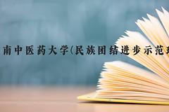 云南中医药大学(民族团结进步示范班)近三年在云南录取分数线(含2021-2023最低分)