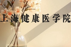 上海健康医学院近三年在贵州录取分数线(含2021-2023最低分)