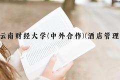 云南财经大学(中外合作)(酒店管理)近三年在云南录取分数线(含2021-2023最低分)